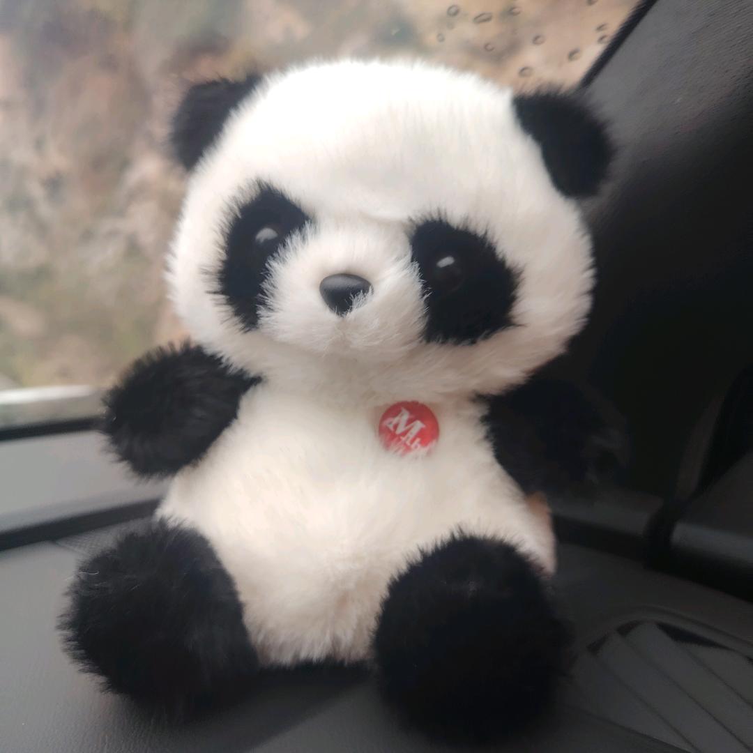 ꧔ꦿ᭄万般皆᭄是命᭄ღ