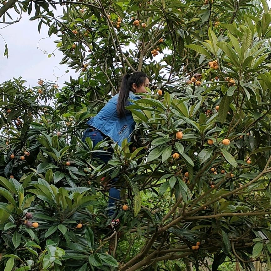 一米阳光