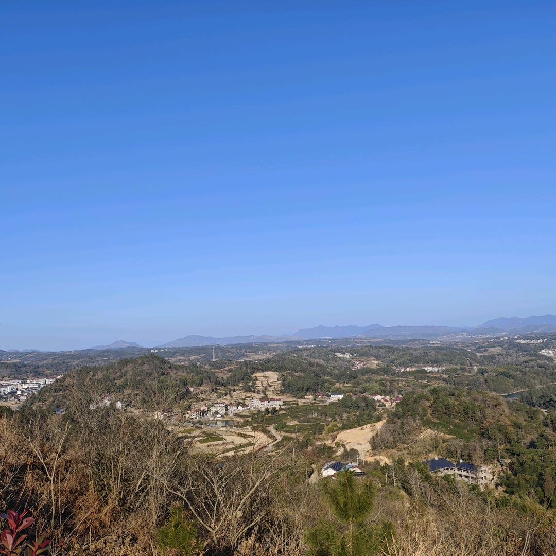 处处留香楚留香