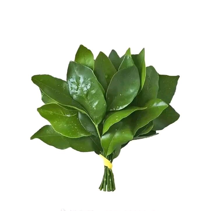 祝你晚安