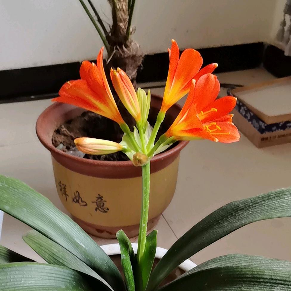平安运输闫哥