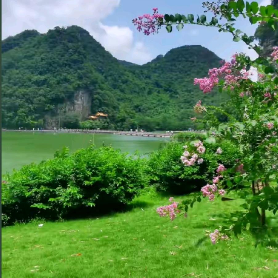 琴声悠然