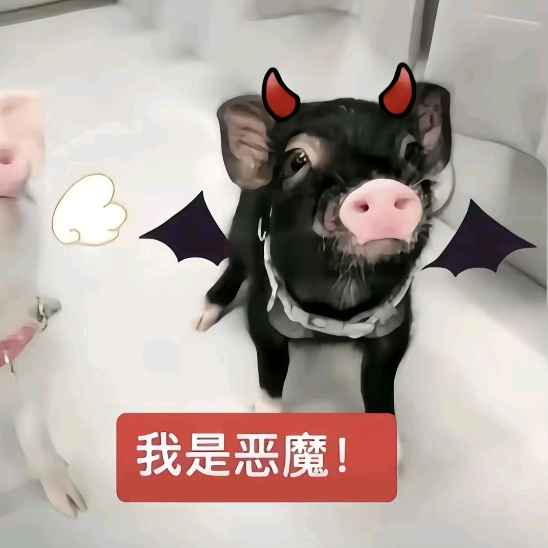 未敛心