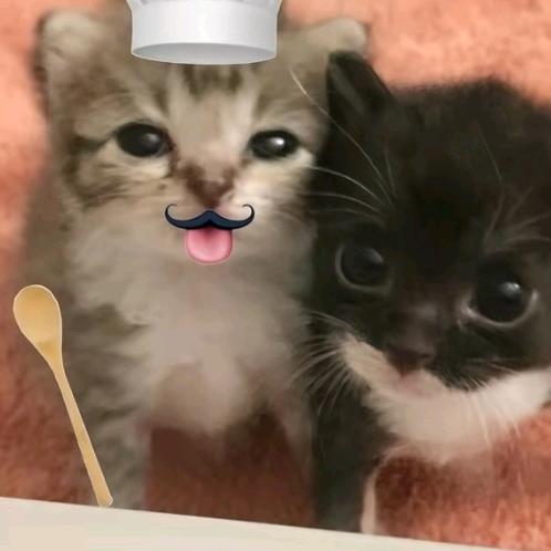 Nnini