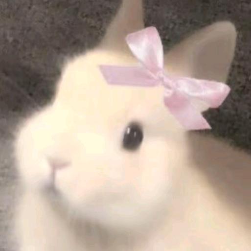 🐰