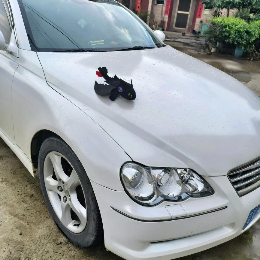 旅行者“🇨🇳”
