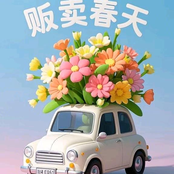 豫R强