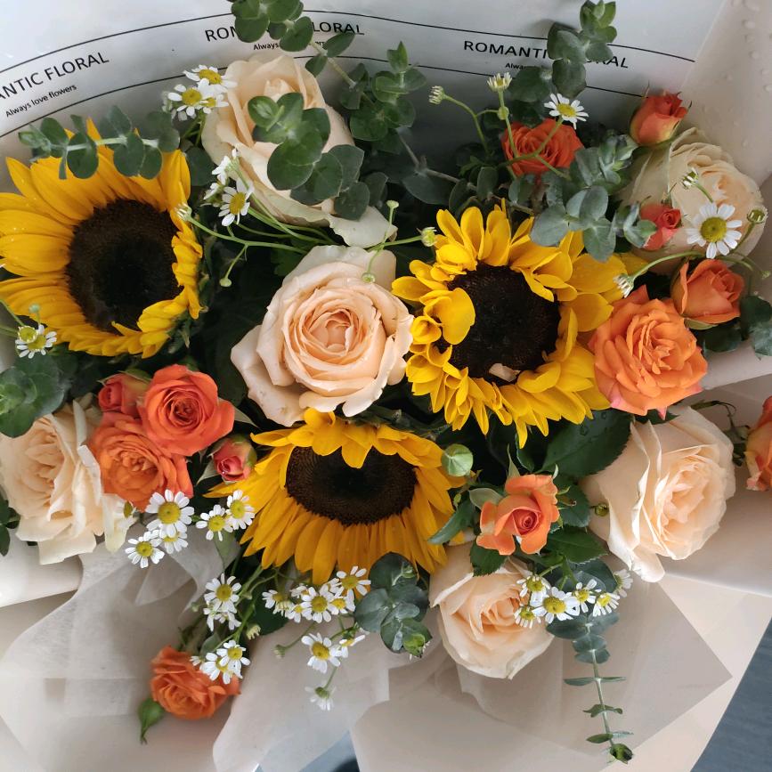 💰暴富的 小仙女