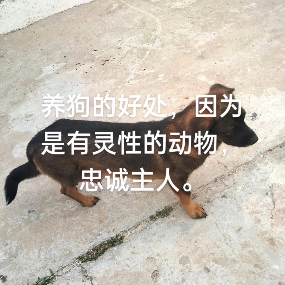 更直人