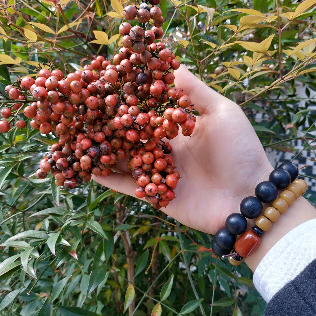 林初闻📷