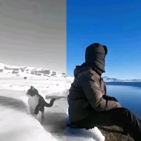 空无遗悟୧⍤⃝🌻