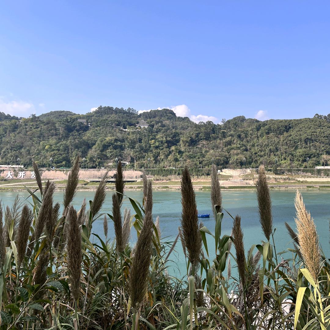 宜宾好加分教育规划小羊