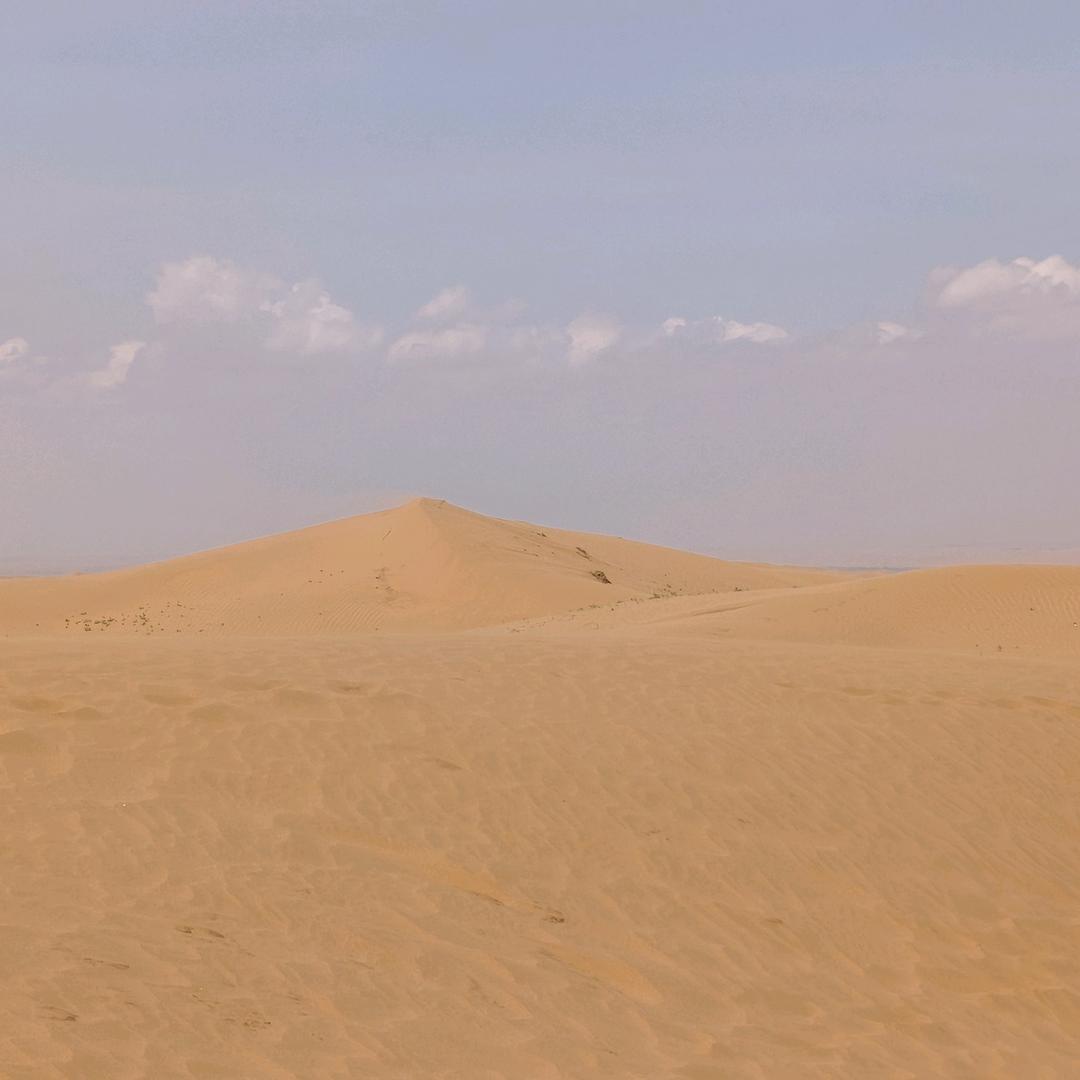 骆驼爱旅游