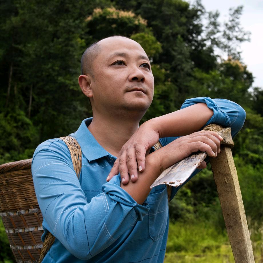 大伟走乡村