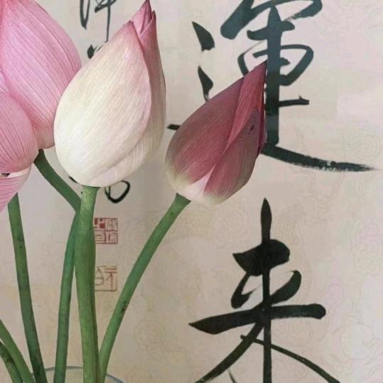 一梦千寻