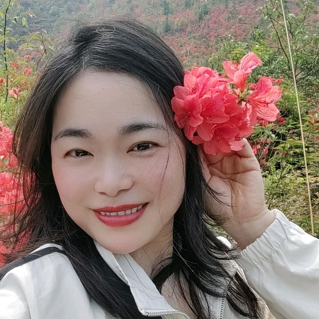 无言的雪
