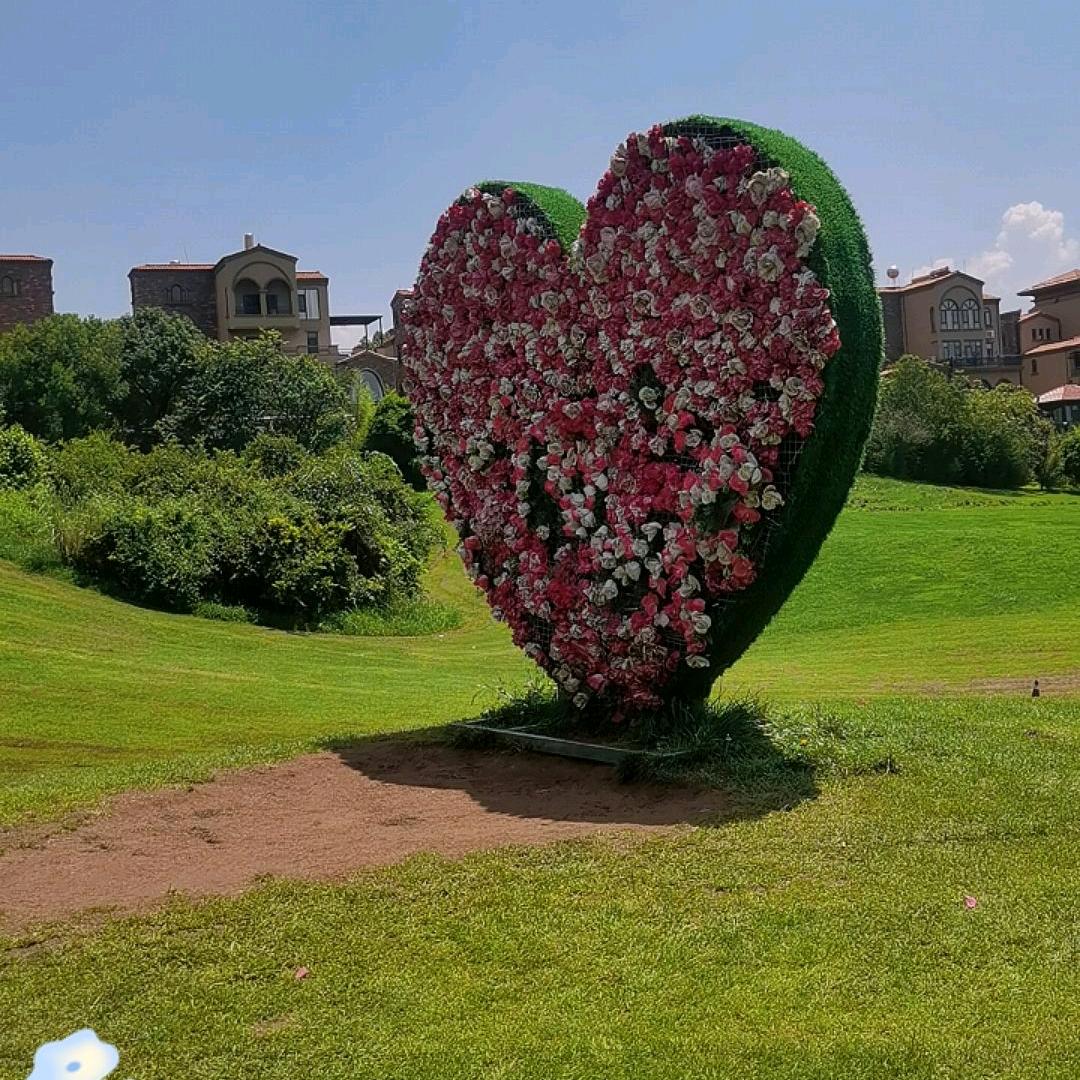 中老年老北京布鞋