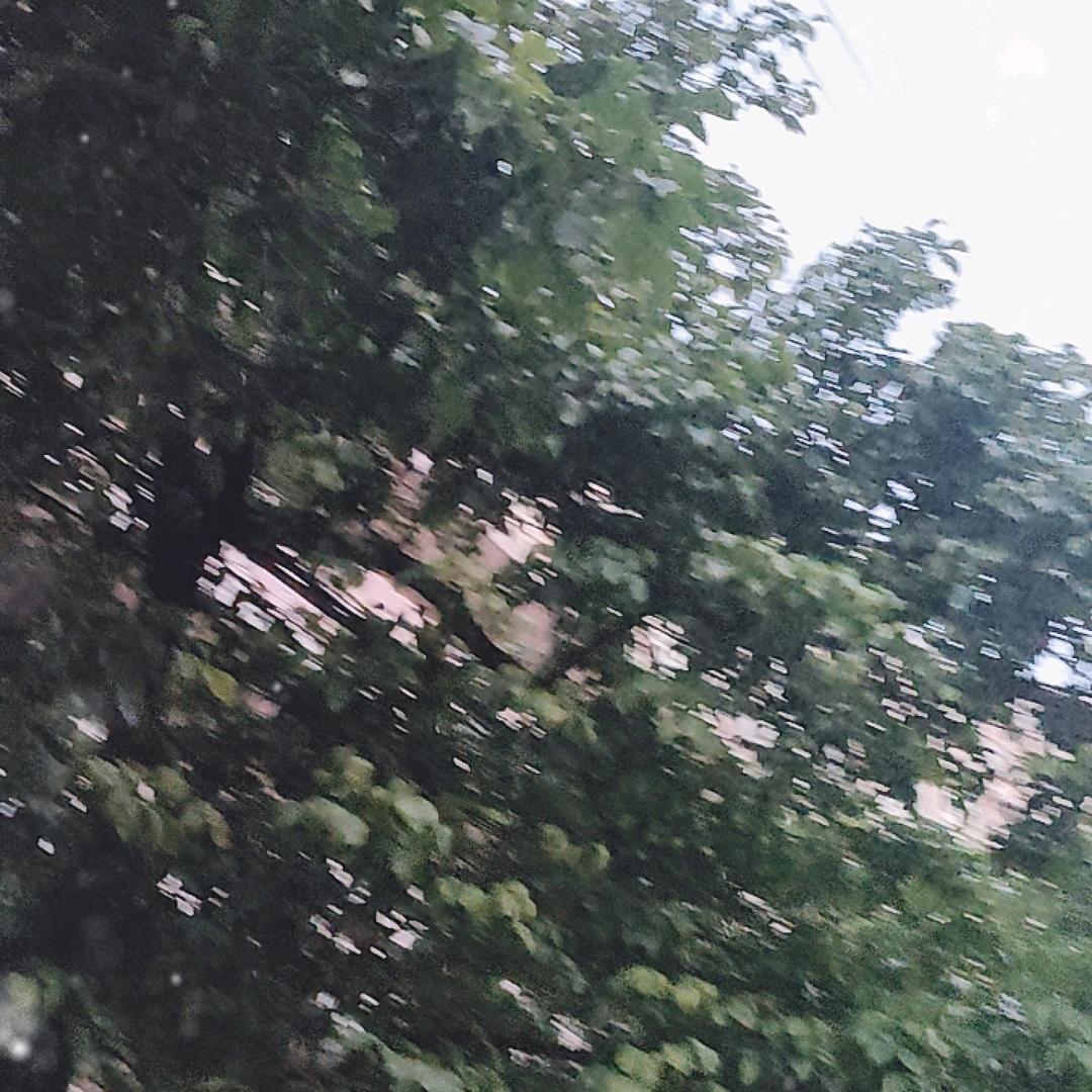 青春据场