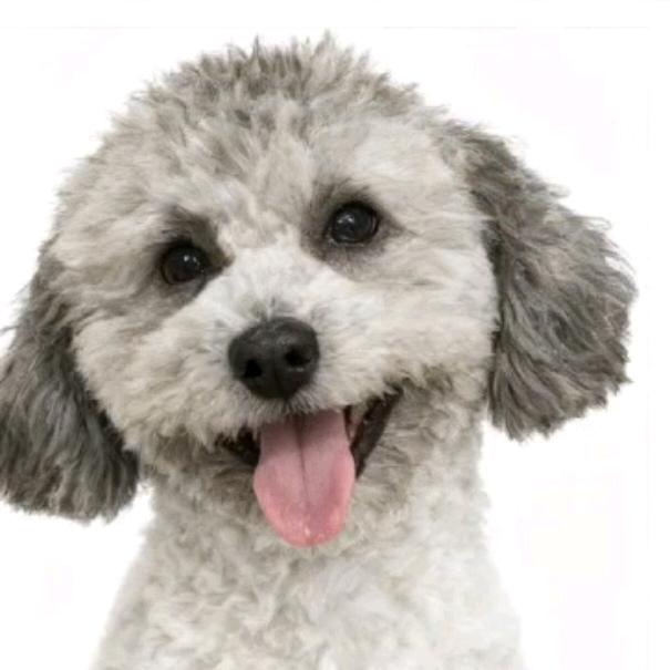 给生活比个✌️