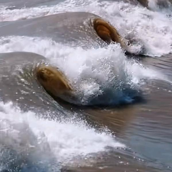 天涯海角