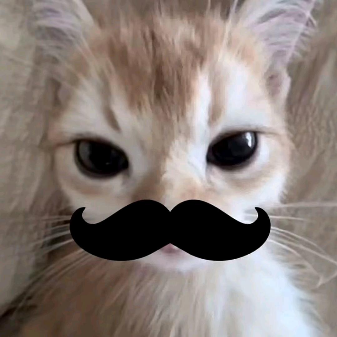 你要这么想我也没办法