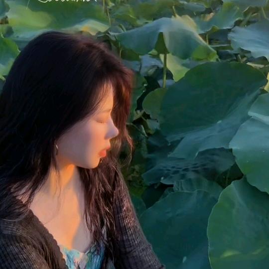 山海 ·