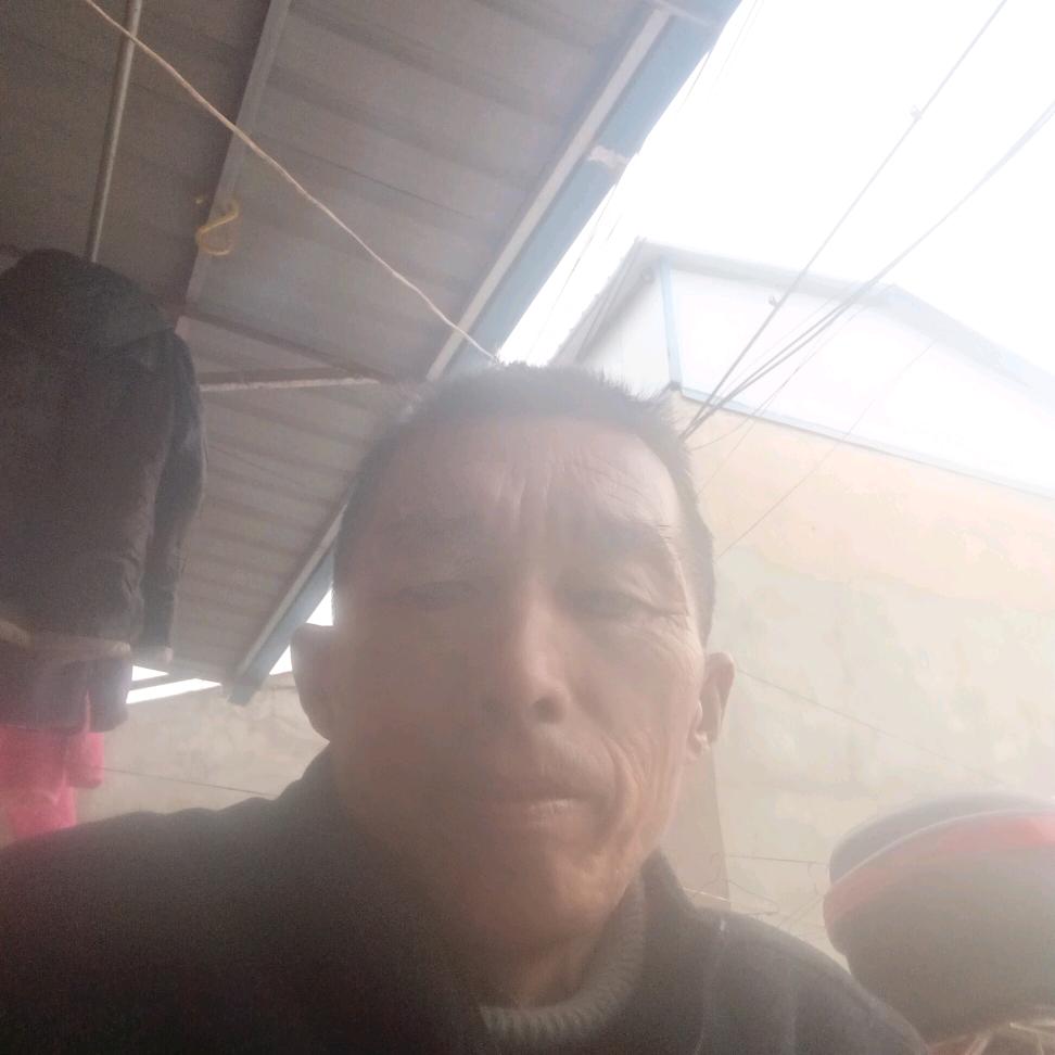 新哥