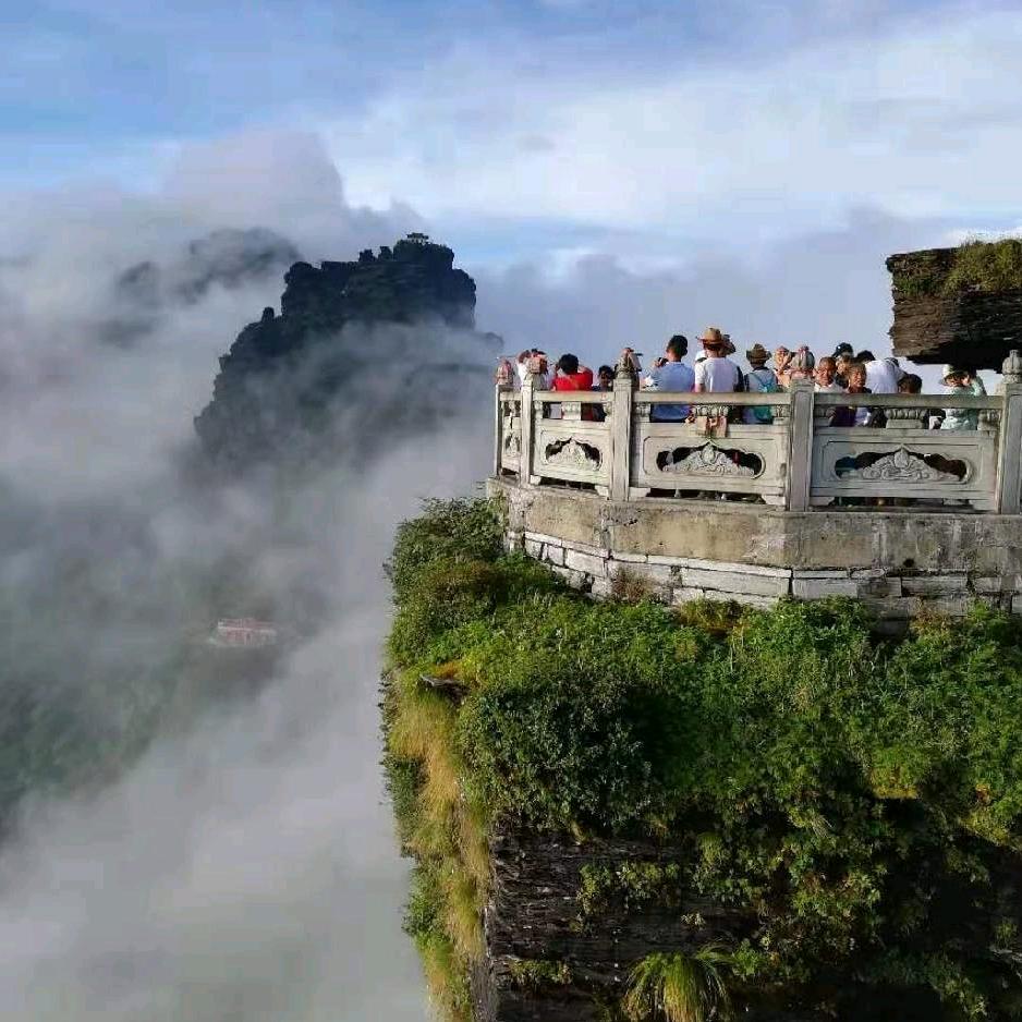 随心所欲