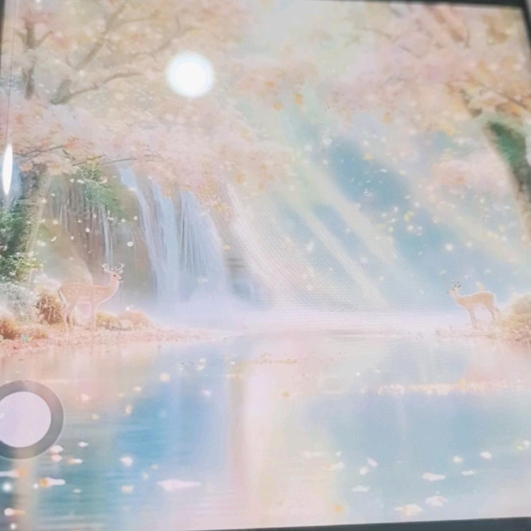 青云志