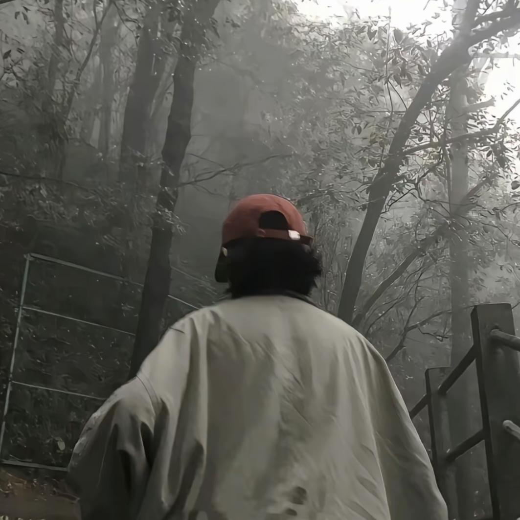 玫瑰没有雨怎么盛开