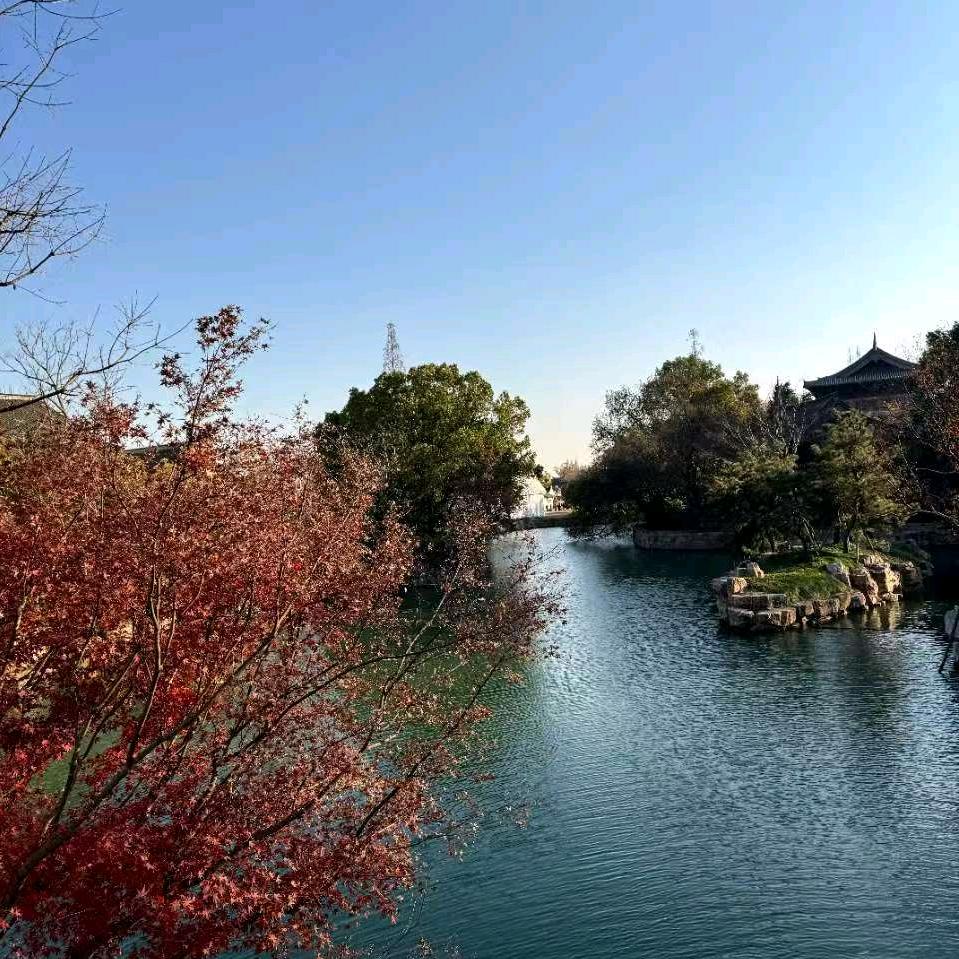 康卫