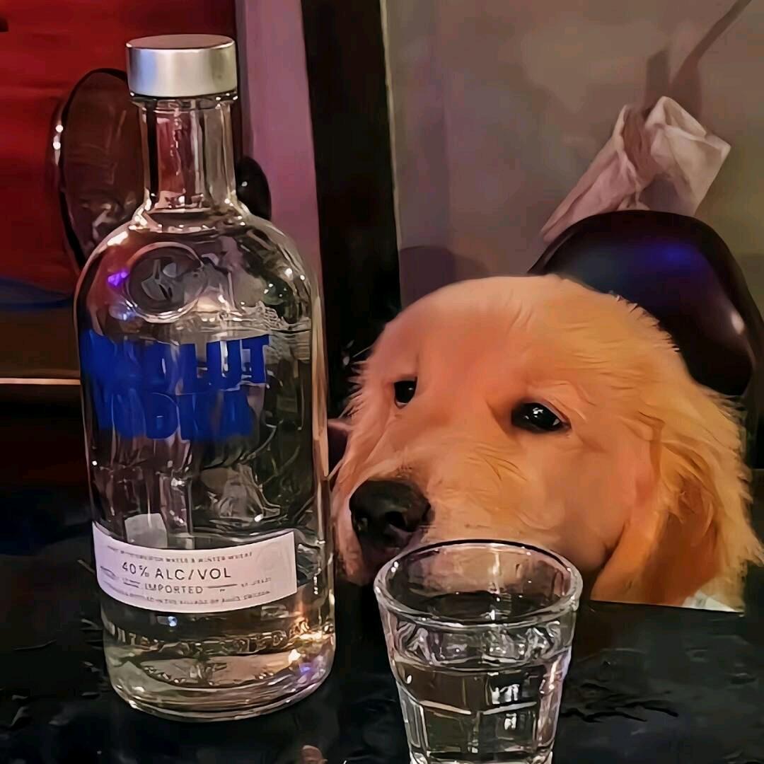 An弍十一