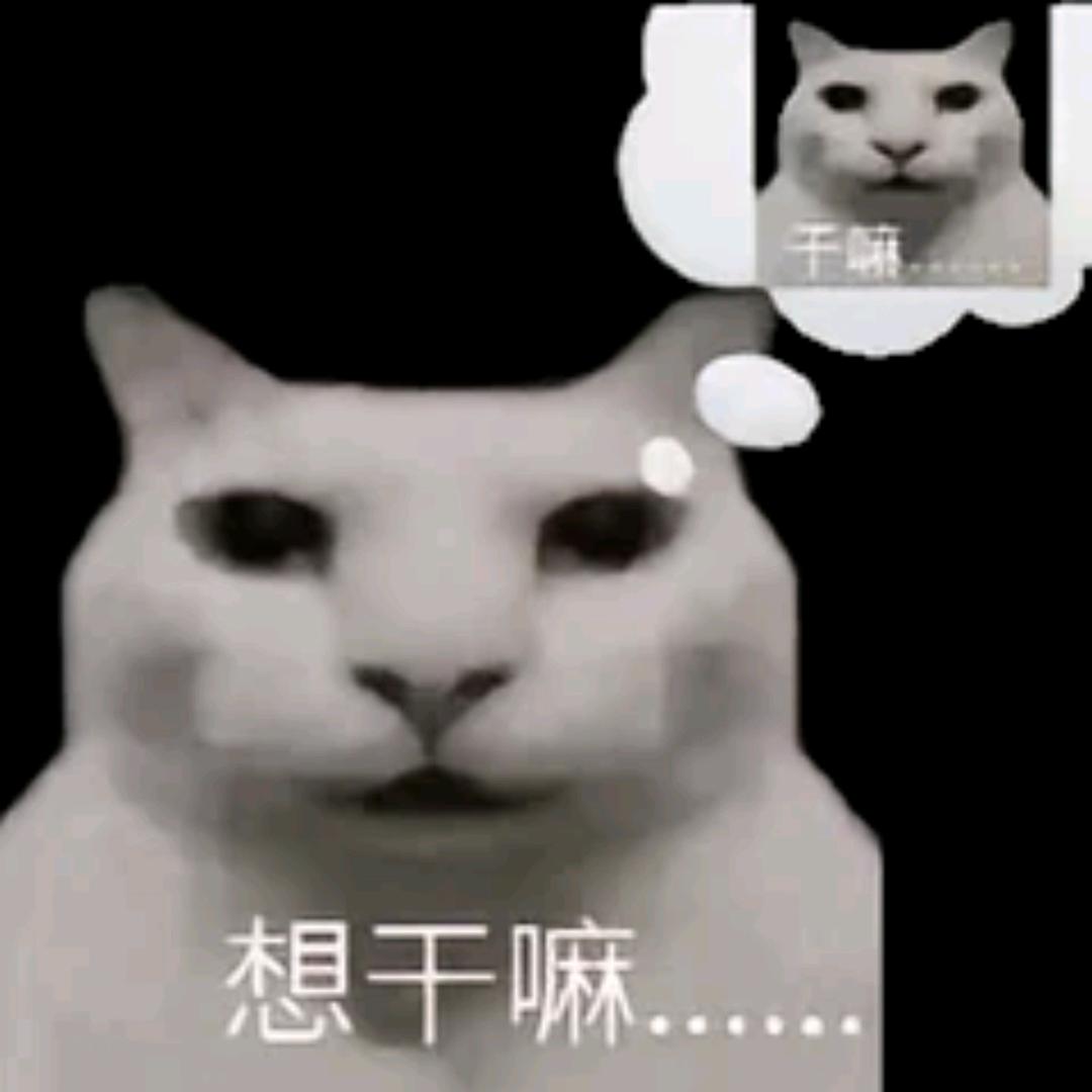 丨