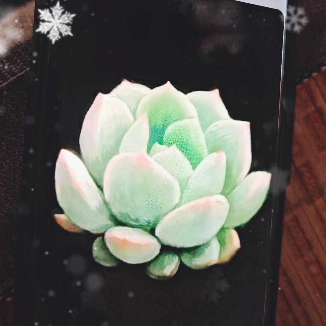 深秋无痕