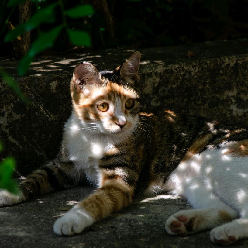 📸小江（梅州拍照版）