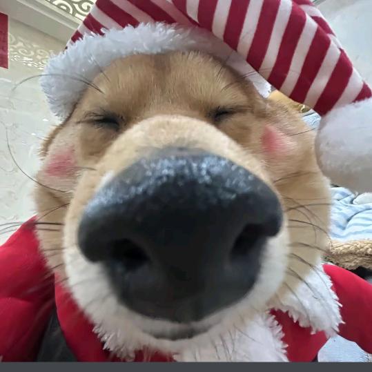 讨厌下雨天🌧️