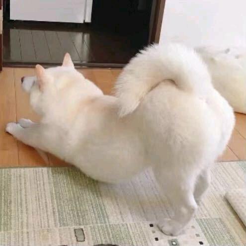 花间一壶酒