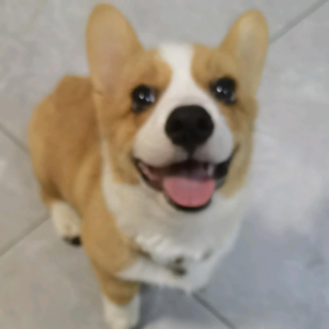 🎀雅比 囧囧囧