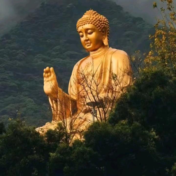 王师傅