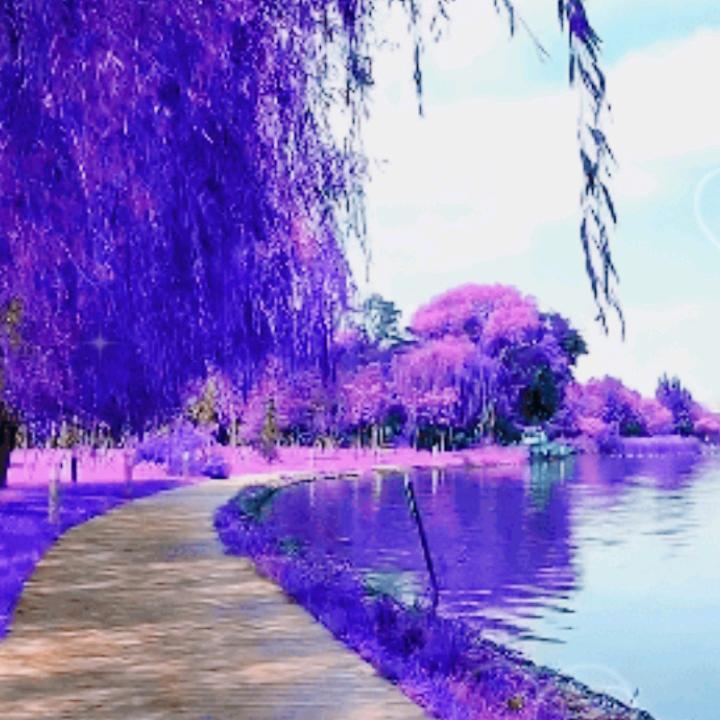 ，云淡风轻