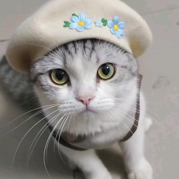 小幸运🍀