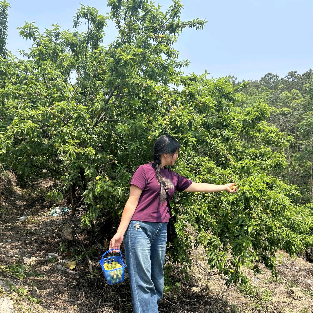 香香