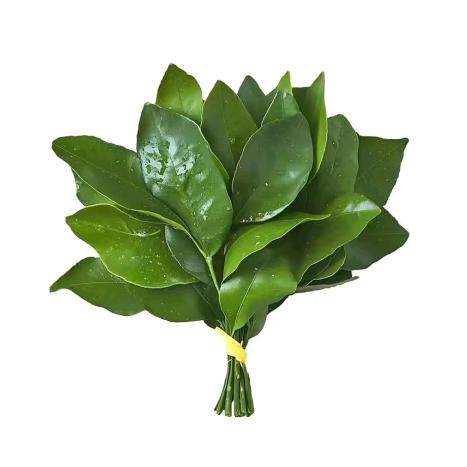 悲伤的玉米排骨汤