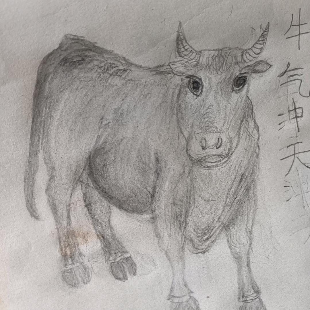 张艺新