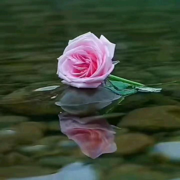 麦丽开姆