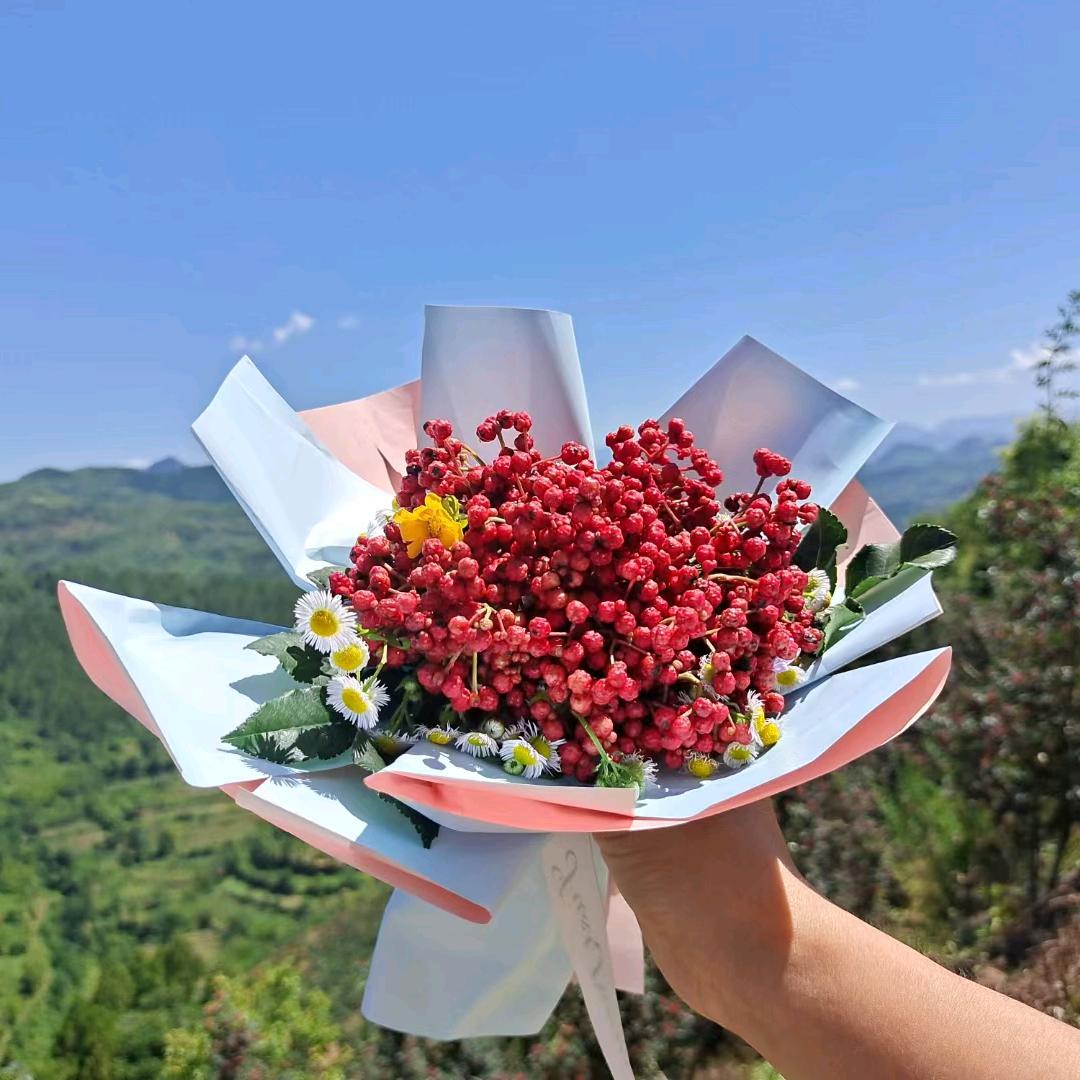 凤县花椒芸妹
