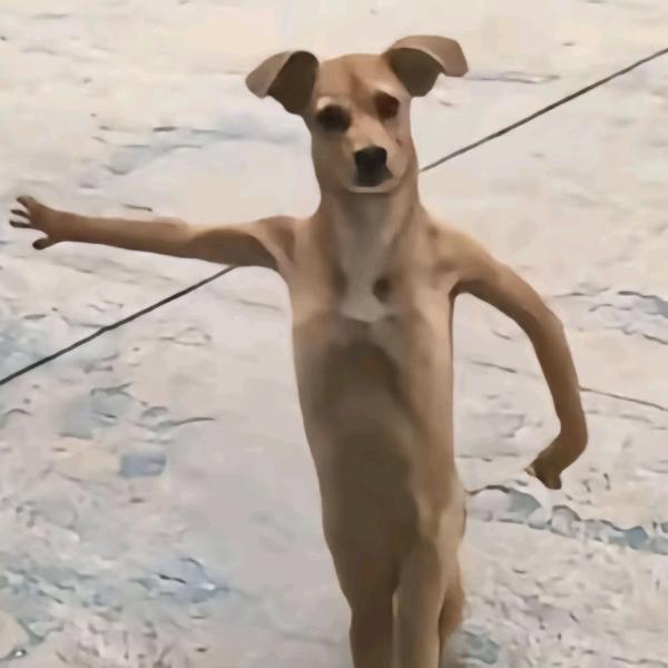 坦克是没有后视镜的