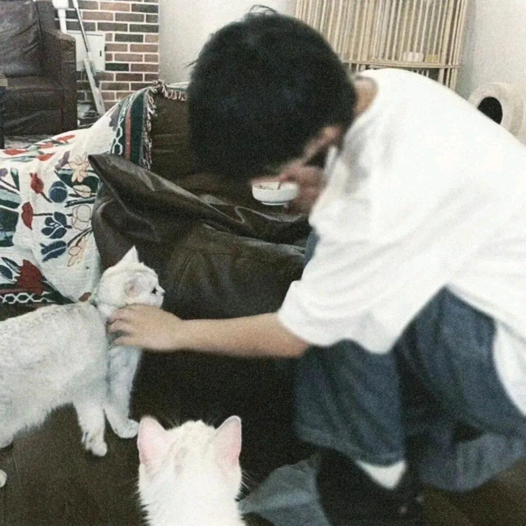 辞