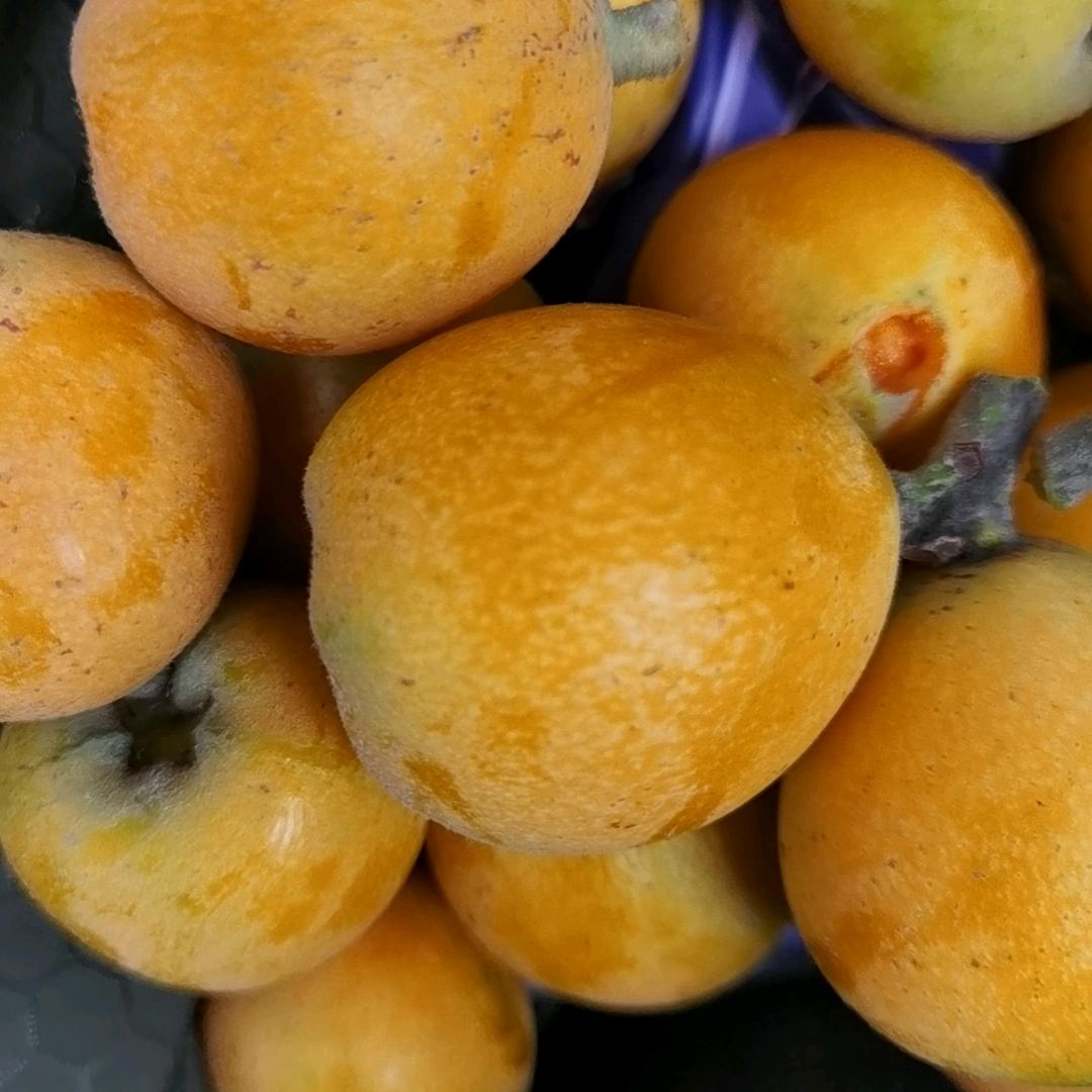 好后悔