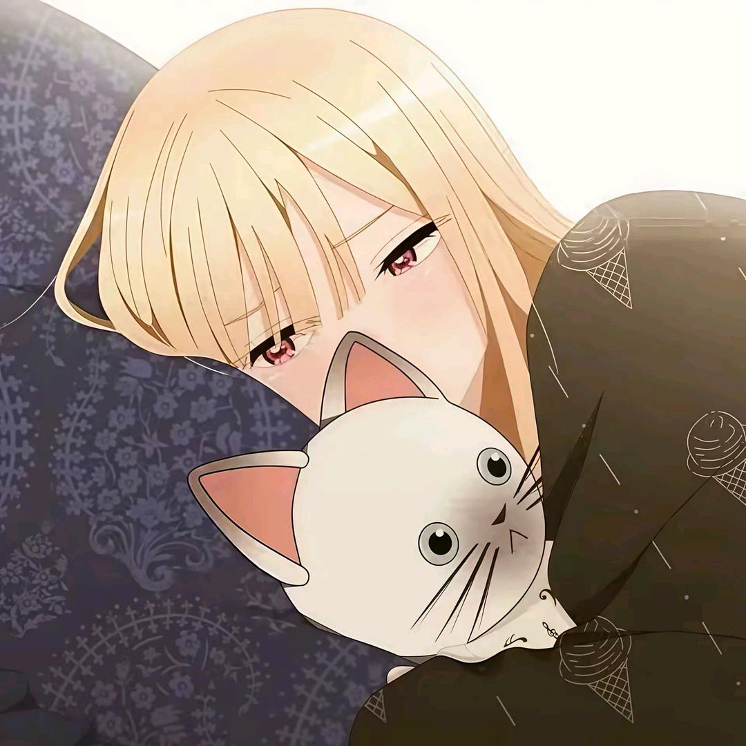 么凹猫.